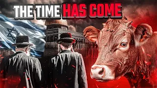 Download The End Of Aqsa Because Of This Cow MP3