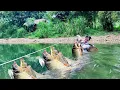 Download Lagu Fishing Skills - Single Mom Uses Traditional Fishing Techniques to Catch Giant Carp and Catfish.