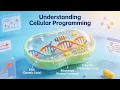 Understanding Cellular Programming 14 Minutes