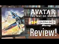 Avatar The Way of Water 2022 4K U Blu-ray Review