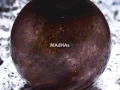 MAdHAs - Debut CD