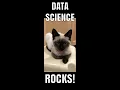 RStudio One Sample Proportion Test