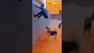    إضحك من قلبك  لن تشبع من إعادته  اضحك  اضحك من قلبك   مقاطع مضحكة  مقلب دندنها