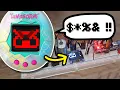 I made a Virtual Pet to TORTURE my Friends