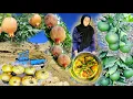 Download Lagu 🎥 Real nomadic life | Cooking saffron rice in nature | Harvesting fresh pomegranates!