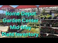 Home Depot Garden Center Mid-May Plant Inventory Great Colors Annuals Perennials and Shrubs