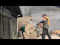Stihl MS 461 vs Stihl MS 500 i