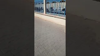 فضيحة جامعة حمه لخضر في عيد الحب اليوم مانحكيلكش شوف تعرف  فضيحة جامعة حمه لخضر في عيد الحب اليوم مانحكيلكش شوف تعرف