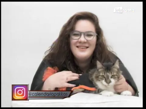 Calendario Patitas 2020 apoya a fundaciones y refugios animalistas