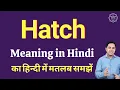 Hatch meaning in Hindi Hatch ka kya matlab hota hai Spoken English classes