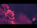 What So Not - Beautiful feat. Winona Oak - EKAV Remix