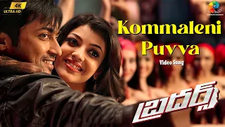 kommaleni puvva 4k video song telugu brothers harris jayaraj surya kajal agarwal javed ali