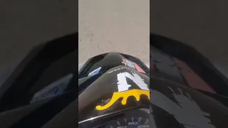                     دندنها