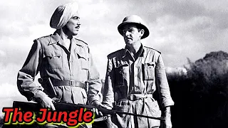 bad movie review the jungle 1952 with marie windsor 