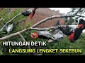 PIKAT KEMADE. Suara Pikat Semua Jenis Burung Kemade Paling Ampuh.