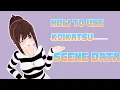 How to Import Scene Data in Koikatsu Tutorial