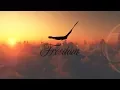 Download Lagu Pharrell Williams - Freedom | Fan Made Video
