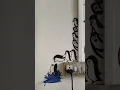 dry room decor ideas penguin wall painting