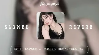 Cheb Faycel Galbek Houa Lbanka SLOWED REVERB  Cheb Faycel Galbek Houa Lbanka SLOWED REVERB