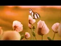 Download Lagu JVKE - golden hour (slowed to perfection)