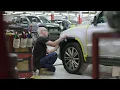 Panel beater and spray-painter apprenticeships