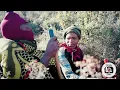 Download Lagu CHOBELISO ( Full sesotho film )