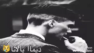 ديما يالانا 