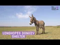 Animal Rescue Site Friends Longhopes Donkey Shelter