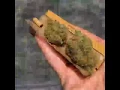 Weed GIF