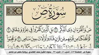 سورة ص   سعد الغامدي دندنها
