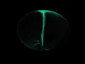 TN01 - Aizawa Attractor with particles