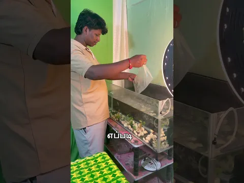 50 Days Gym Challenge 🤙📈|90kg to 80kg | | DAY - 49 |🤩 #panniduvom  #day49  #gymchallenge #தமிழ்