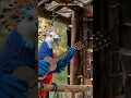 Download Lagu Encantos da Natureza com Gilberto e Gilmar. Tá aqui no YouTube!