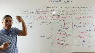 العربية 08 القرائن اللغوية بأفضل طريقة الأستاذ معاذ جميع الشعب 