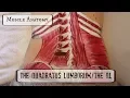 Muscle Anatomy THE QL