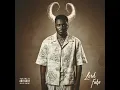 Download Lagu Yanga Chief - What If (Mngani) [Official Audio]
