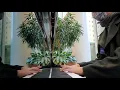 Dependent Weakling (Live from the Mayo Clinic Gonda Piano)