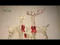 How to assemble the gold 3 deer family set