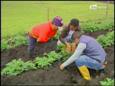 Ecuador Agropecuario 28-03-2018