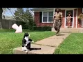 🐈 🥰🥰 Heart - melting: Soldier Dad's return after years, cats go nuts with love! #cat