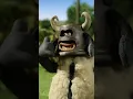 Download Lagu Intruder alert 🚨👀 #ShauntheSheep #Shorts