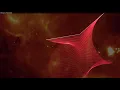 Mana & Alejandro Fernandez    Mariposa Traicionera   Audio Original  visualizer