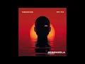 TheologyHD & Swizxle - Sebenzela (ft.MRBONI 707) (Official Audio)