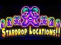 Where To Find EVERY Stardrop - Stardew Valley