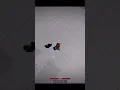 Download Lagu erm,, wut the flip. #roblox #tsb #strongestbattlegrounds #robloxedit