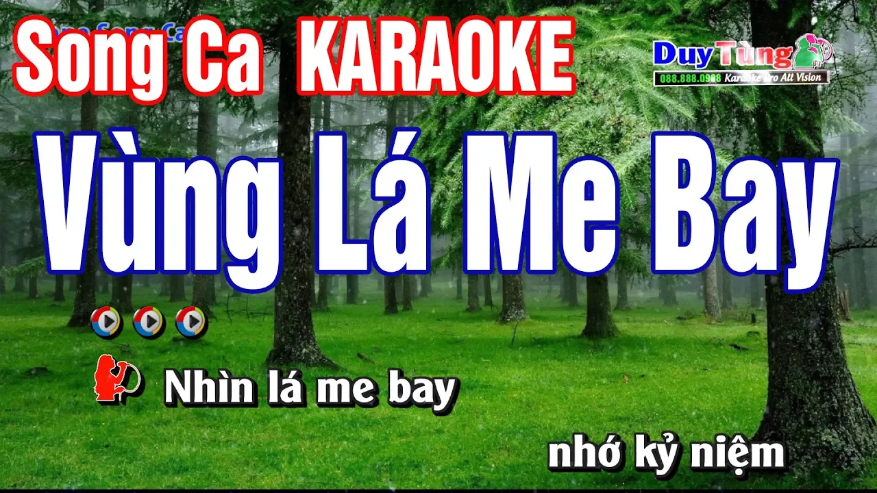 Vùng Lá Me bay Karaoke Song Ca - Nhạc Sống Duy Tùng