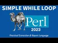 Perl Programming - While Loop 2023