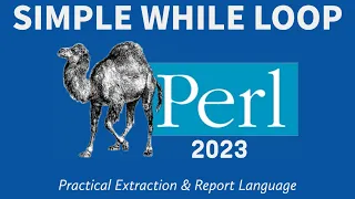 Perl Programming - While Loop 2023