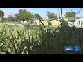 Household bills in San Angelo are some of the lowest in Texas reports show