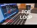 Java dasar For Loop